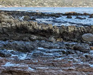 California Coast